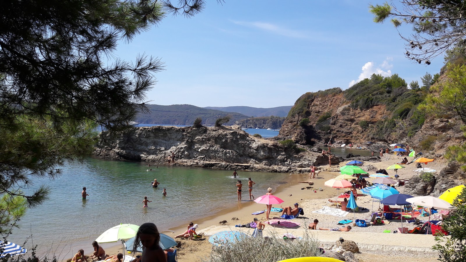 Foto de Playa Felciaio con muy limpio nivel de limpieza