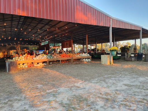 Tourist Attraction «Sugar Hill U-pick Farms», reviews and photos, 3595 Co Rd 59, Verbena, AL 36091, USA