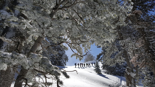 Ski Rental Service «Weber State University Outdoor Program», reviews and photos, 4022 Stadium Way #3301, Ogden, UT 84403, USA