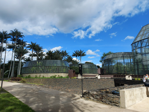 Tropicario Jardín Botánico de Bogotá