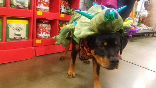 Pet Supply Store «PetSmart», reviews and photos, 6106 Shops Way, Northborough, MA 01532, USA