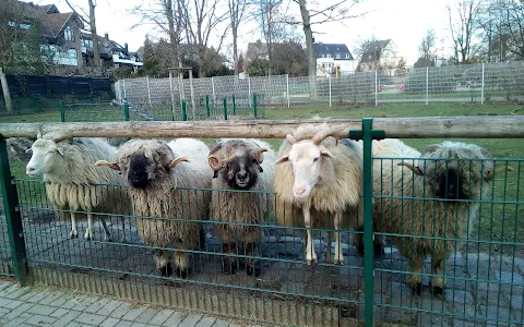 Arche-Park Tiergehege Witthausbusch image