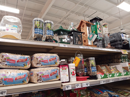 Grocery Store «H-E-B Grocery», reviews and photos, 209 N Texas Ave, Mercedes, TX 78570, USA