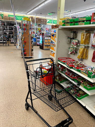 Dollar Store «Dollar Tree», reviews and photos, 500 NJ-38, Cherry Hill, NJ 08002, USA