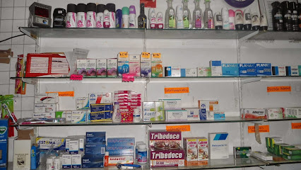 Farmacia Cisneros, , Nuevo Progreso (El Progreso)