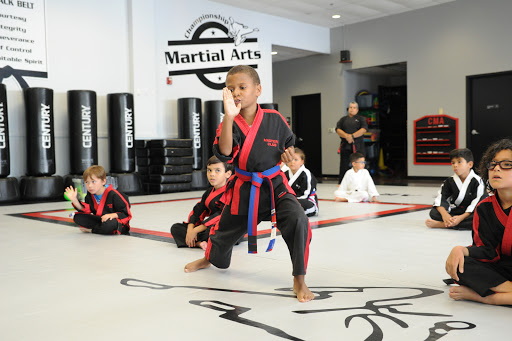 Championship Martial Arts - Avalon Park