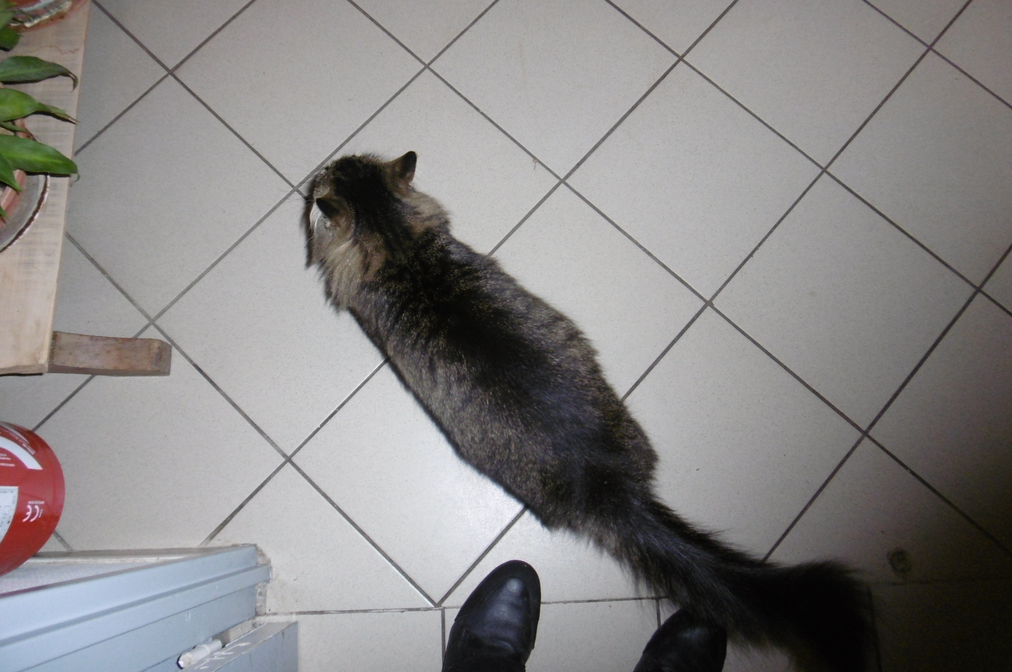 Photo n° 1 de l'avis de Mialhe.e fait le 14/05/2019 à 08:29