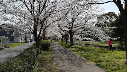 大道沢南公園