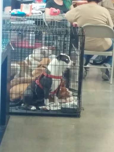 Pet Supply Store «PetSmart», reviews and photos, 7290 W Bell Rd, Glendale, AZ 85308, USA