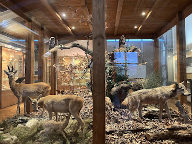 Museo Naturalistico, Centro visite e centro di Educazione Ambientale del Parco naturale del Sasso Simone e Simoncello Viale dei Tigli, 5A, 47864 Pennabilli RN, Italia