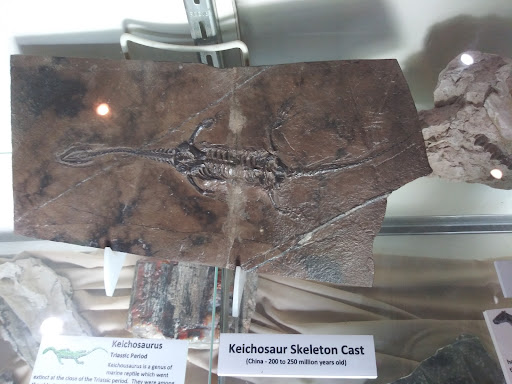 Museum «Phosphate Museum», reviews and photos, 101 SE 1st St, Mulberry, FL 33860, USA