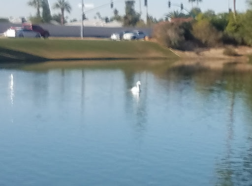 Golf Course «Westbrook Village Golf Club Lakes Course», reviews and photos, 19260 N Westbrook Pkwy, Peoria, AZ 85382, USA