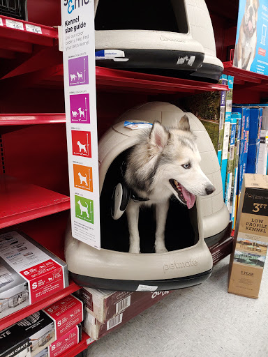 Pet Supply Store «Petco Animal Supplies», reviews and photos, 8111 W Broward Blvd, Plantation, FL 33324, USA