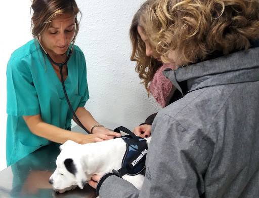 Centro Veterinario Castellbisbal en Castellbisbal