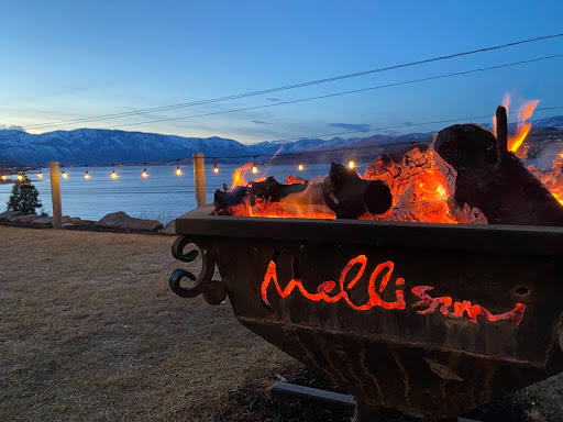 Vineyard «Mellisoni Vineyards», reviews and photos, 3155 US-97 ALT, Chelan, WA 98816, USA