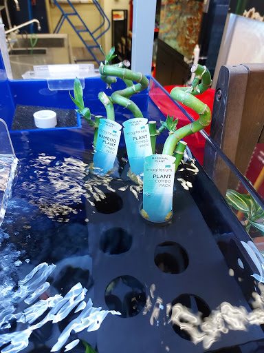 Pet Supply Store «PetSmart», reviews and photos, 428 Randall Rd, South Elgin, IL 60177, USA