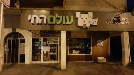 תמונה