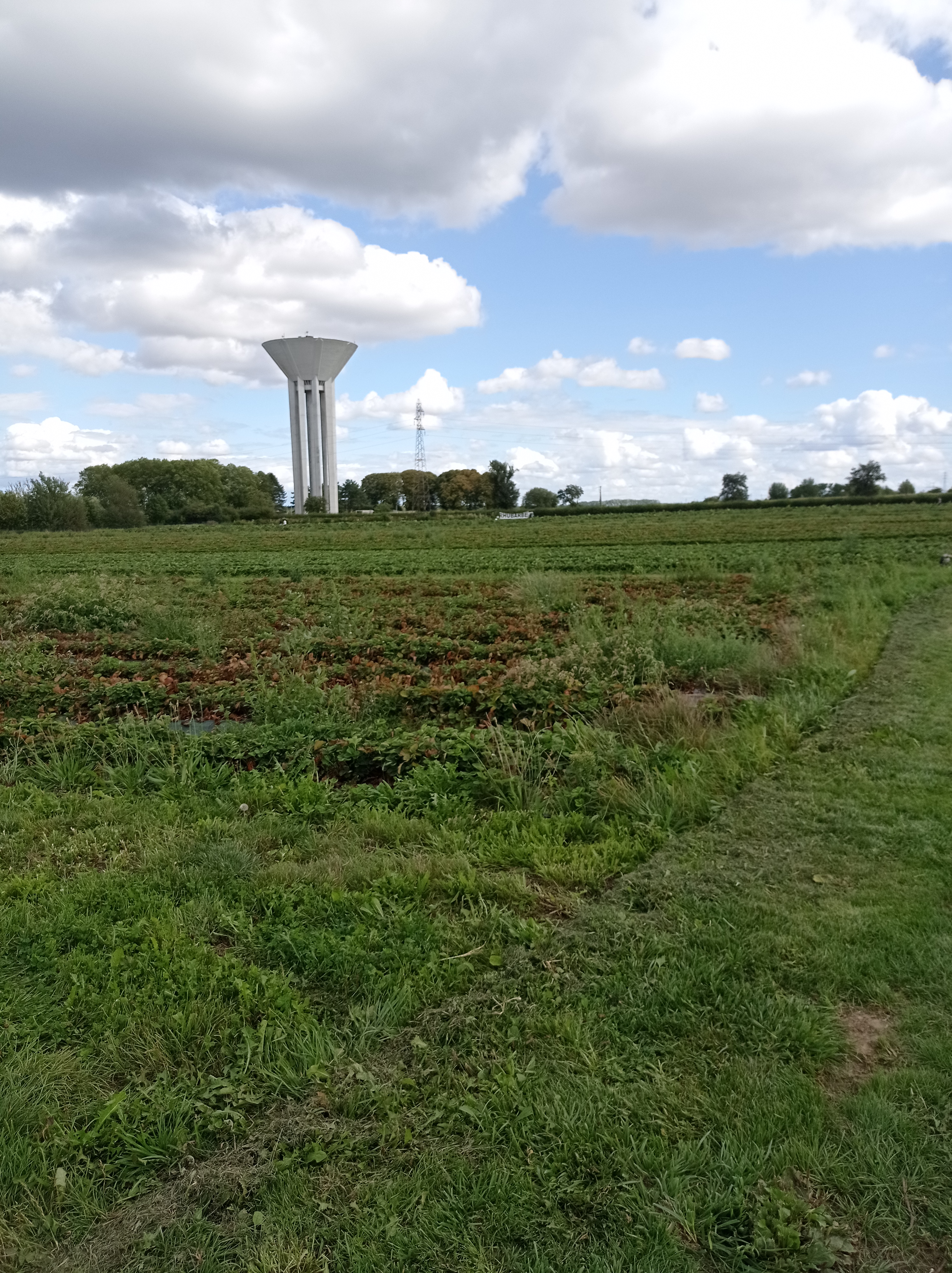 Photo n° 11 de l'avis de alexandre.u fait le 27/08/2023 à 13:21
