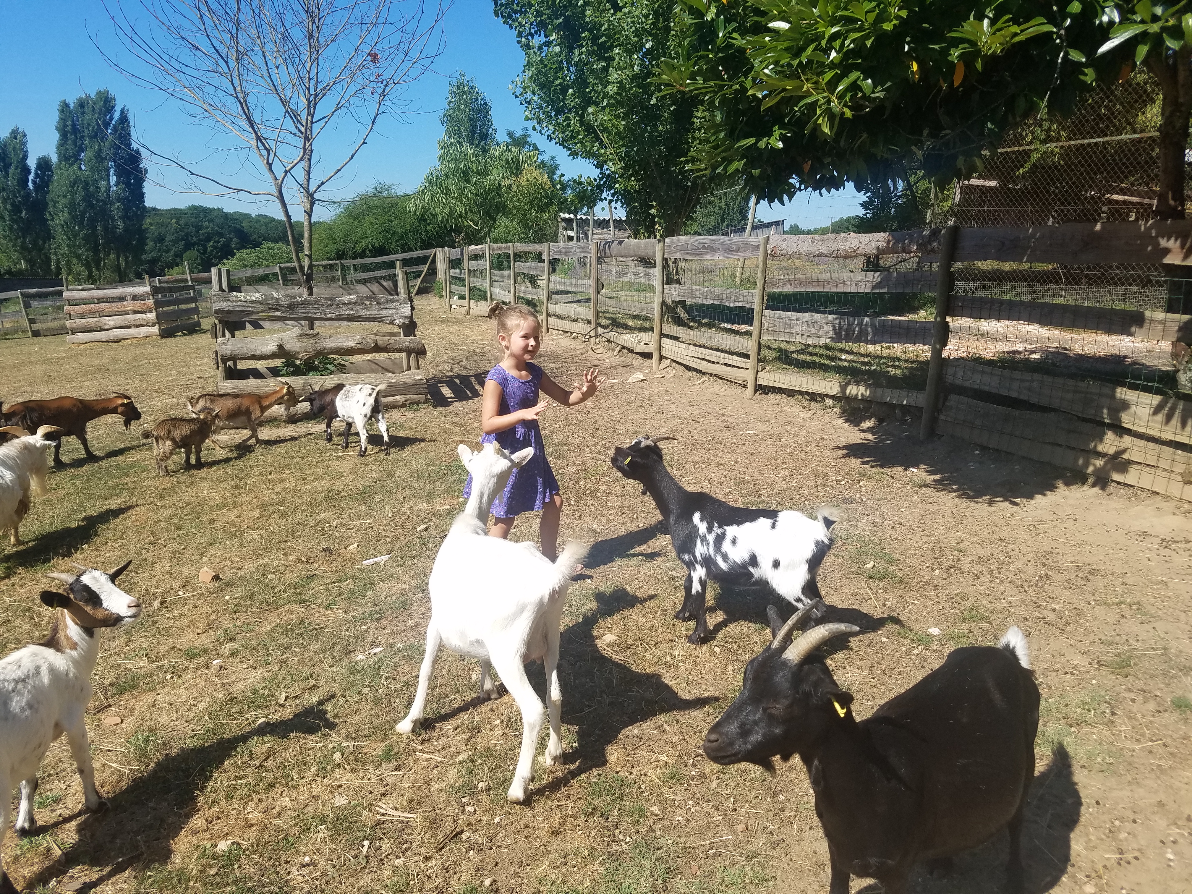 Photo n° 16 de l'avis de Jenny.o fait le 03/08/2018 à 15:13