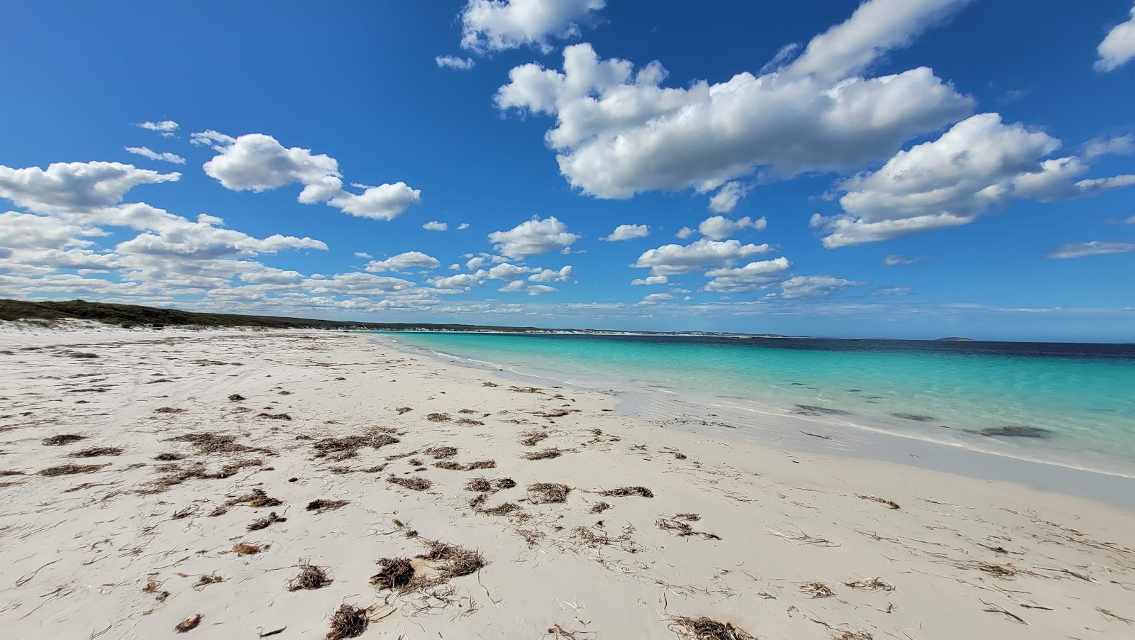Foto av Alexander Bay Beach med vit fin sand yta