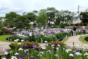 Horikiri Iris Garden image