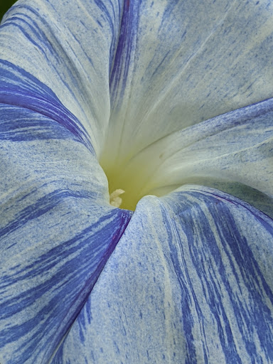 Botanical Garden «Ashton Gardens at Thanksgiving Point», reviews and photos, 3900 Garden Dr, Lehi, UT 84043, USA