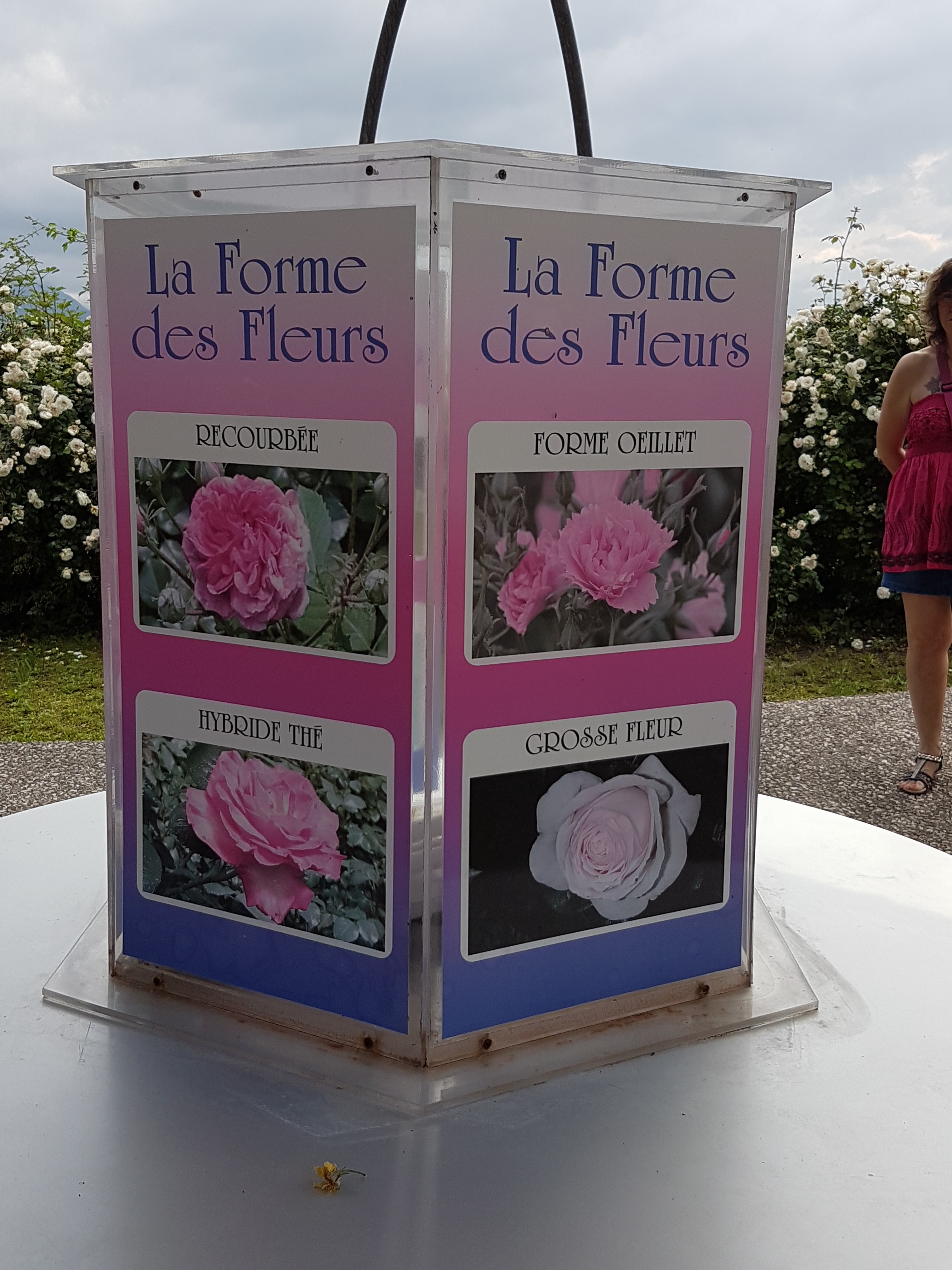 Photo n° 25 de l'avis de denis.o fait le 06/07/2018 à 20:25