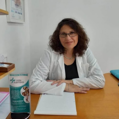 Ps Johanna Del Carmen Mansilla Mardones, Psicólogo - Antofagasta