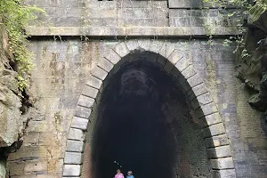 Blue Ridge Tunnel Trail, East Trailhead image