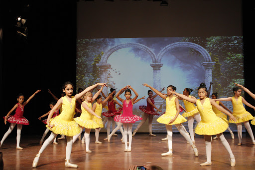 National Ballet & Academy Trust of India