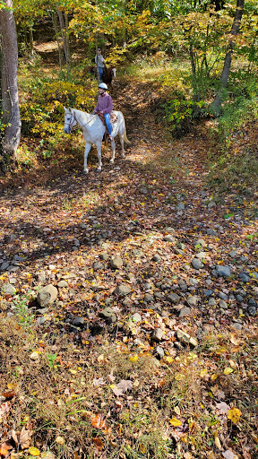 Horseback Riding Service «Grandpa Jeffs Trailrides», reviews and photos, 5889 S Skinner Rd, Morgantown, IN 46160, USA