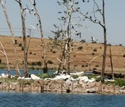 Island View Hide photo