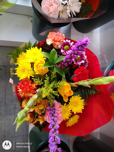 Supermarket «206 Farmers Market Inc», reviews and photos, 626 US-206, Hillsborough Township, NJ 08844, USA