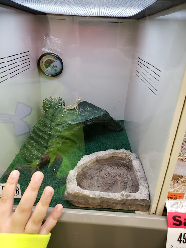 Pet Supply Store «Pet Supplies Plus», reviews and photos, 9630 Transit Rd Suite 400, East Amherst, NY 14051, USA