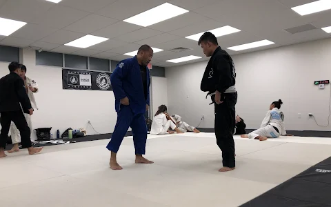 Gracie Allegiance Honolulu image