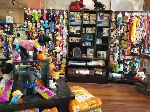 Pet Supply Store «Pet Valu», reviews and photos, 1596 Union Tpke, New Hyde Park, NY 11040, USA