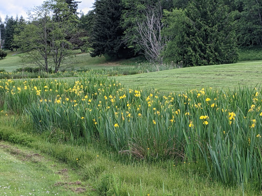 Public Golf Course «Walter Hall Golf Course», reviews and photos, 1226 W Casino Rd, Everett, WA 98204, USA