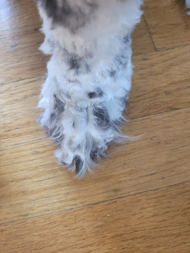 Pet Store «PetSmart», reviews and photos, 16001 Elmhurst Ln, Lakeville, MN 55044, USA