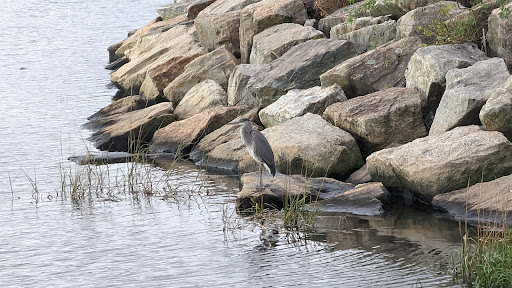 Park «Marine Park», reviews and photos, Fillmore Ave, Brooklyn, NY Brooklyn, USA