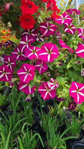 Produce Market «Miller Farms», reviews and photos, 10140 Piscataway Rd, Clinton, MD 20735, USA