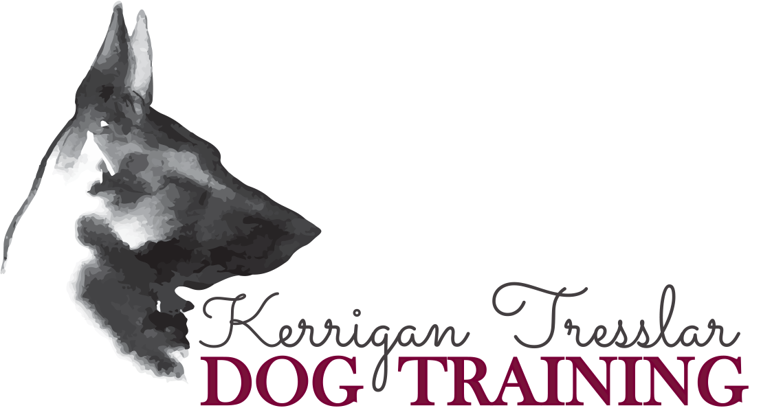 Kerrigan Tresslar Dog Training