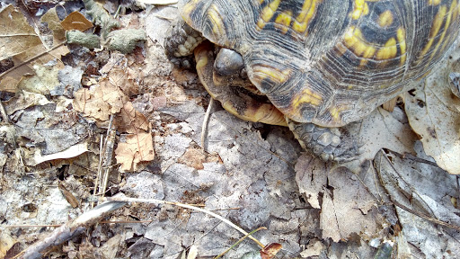 Nature Preserve «Al Sabo Land Preserve», reviews and photos, 6310 Texas Dr, Kalamazoo, MI 49009, USA
