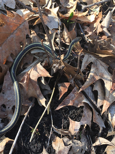 Nature Preserve «Crosby Farm Regional Park», reviews and photos, 2595 Crosby Farm Rd, St Paul, MN 55116, USA