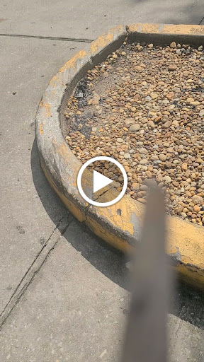 Supermarket «Tien Hung Market Oriental Foods», reviews and photos, 1110 E Colonial Dr, Orlando, FL 32803, USA