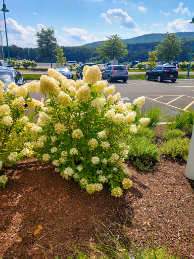 Casino «Tioga Downs Casino», reviews and photos, 2384 W River Rd, Nichols, NY 13812, USA