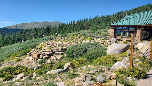 Nature Preserve «Mount Goliath Natural Area», reviews and photos, Mt Evans Rd, Evergreen, CO 80439, USA
