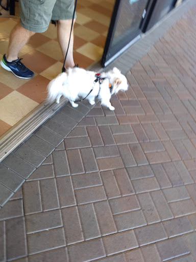 Pet Supply Store «Petco Animal Supplies», reviews and photos, 10819 Zelzah Ave, Granada Hills, CA 91344, USA