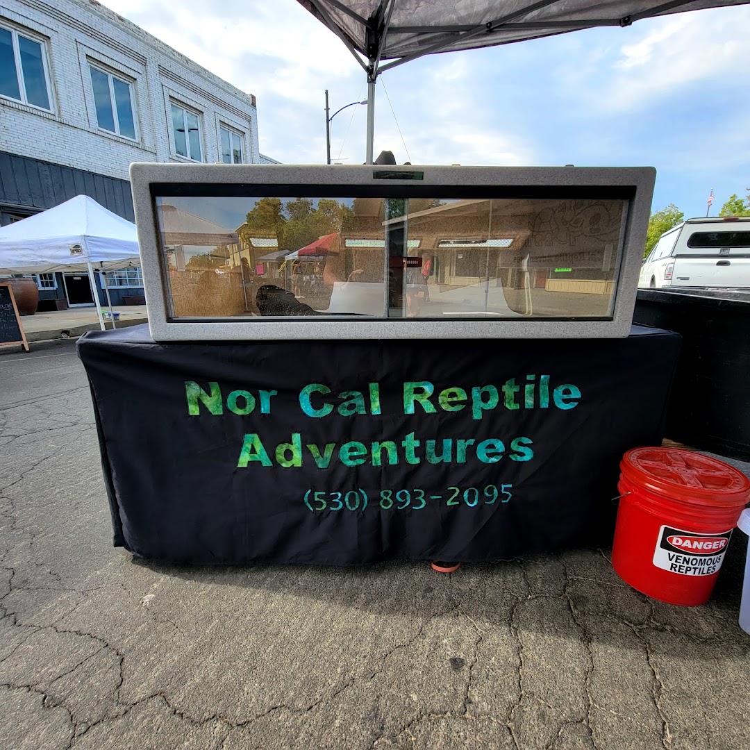 Nor Cal Reptiles Adventures