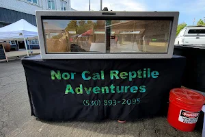 Nor Cal Reptiles Adventures & Rescue (NCRA) image