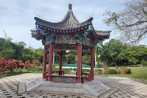 Chinese Garden, Hope Gardens image